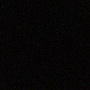 Meet your Posher, Terri